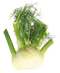 Venkel