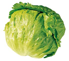  IJsbergsla