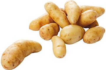 Aardappel Ratte