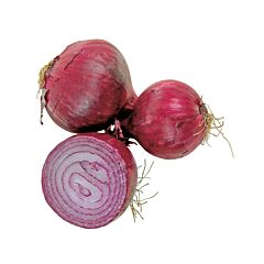  Uien Rood