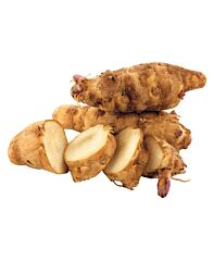  Topinambour (Aardpeer)