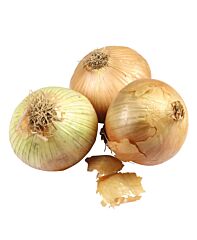  Uien Zoet Cevennes