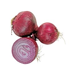  Uien Rood