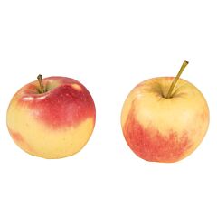  Appels Elstar Per Krat