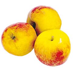  Appel Goudreinet