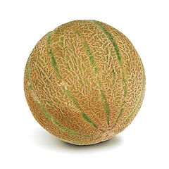  Meloen Cantaloupe Maat 5-6
