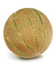  Meloen Cantaloupe Maat 5-6