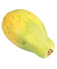  Papaya Farmosa