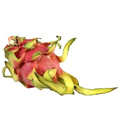  Pitahaya Rood
