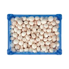 Champignons Fijn Klasse 1