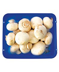  Champignons Fijn Klasse 1
