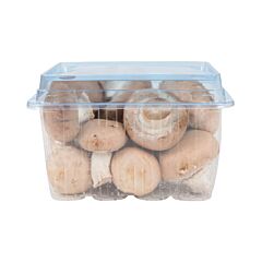 Kastanje Champignons Klasse 1