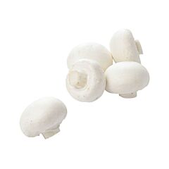  Champignons Middel