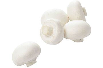  Champignons Middel
