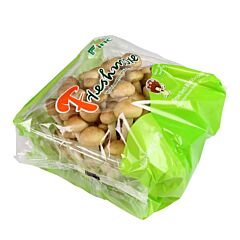  Paddenstoel Bundelzwam Shimeji Bruin