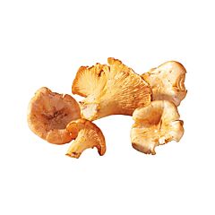 Cantharellen (Girolles)