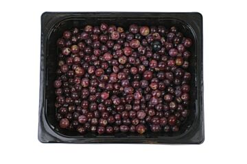  Blauwe Druiven Schoon