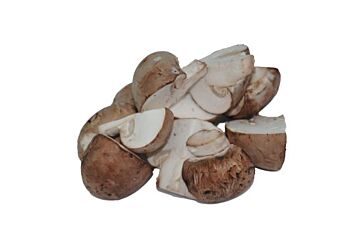  Kastanje Champignon Partjes