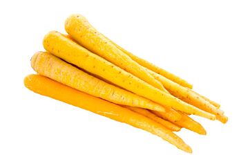  Winterpeen Geel Stift 5 Mm