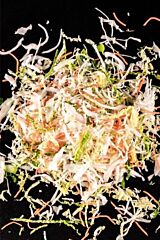 Rauwkost Koolsalade