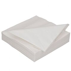 Duni Servet Wit 2-Laags 40X40