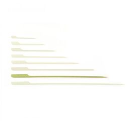 Sier Prikker Bamboe Pin 25 Cm