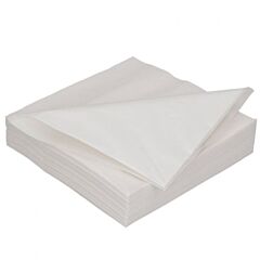 Duni Servet Wit 2-Laags 40X40