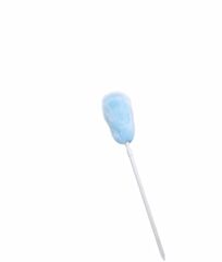 Taski Woolduster  W1