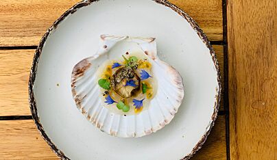 Gemarineerde coquille