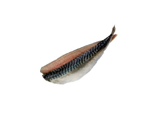 47 004 16.jpg