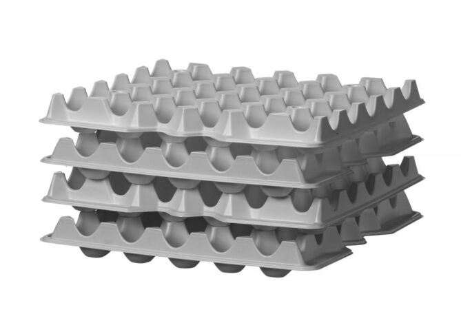 56 227 50_Foto2.jpg
