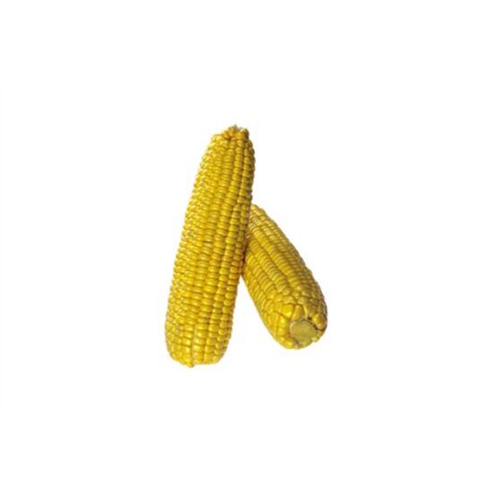 46 401 25.jpg