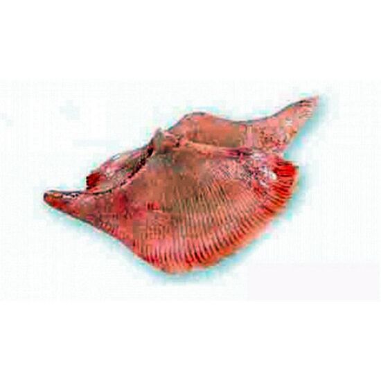 47 018 44.jpg