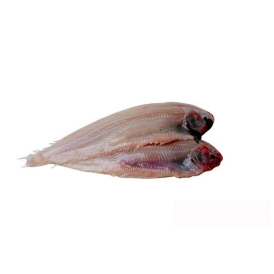 47 020 08.jpg