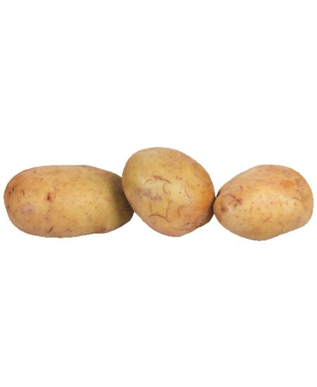 48 101 90a.jpg