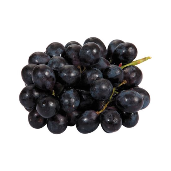 48 303 20b.jpg