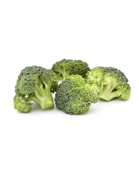 48 802 00.jpg