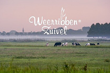 Weerribben Zuivel